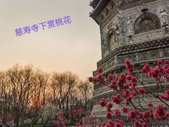 -玲珑塔公园