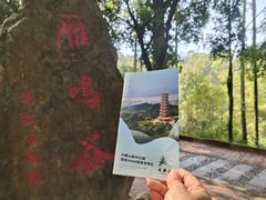 -大雁山风景区