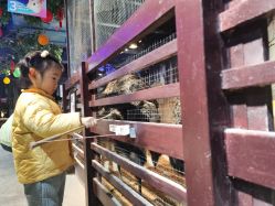 -酷嗒动物文化乐园(cutezoo西溪乐天城店)