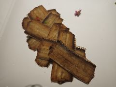 招牌美味烧煎带鱼-海富门·带鱼·淮扬菜·粤菜(甘家口店)