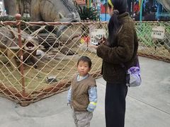 -海合安武汉极地海洋公园