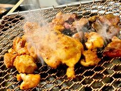 蜂蜜鸡腿排-大壮家原味烤肉(兴华北街店)