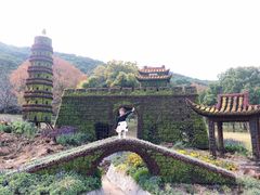 -苏州上方山国家森林公园