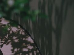 -二酉书店TOYOU BOOKS