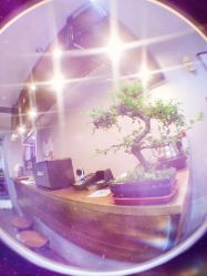 -極致刺青TATTOO STUDIO 私人订制