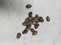 -刘艳明炒货(小心桥店)