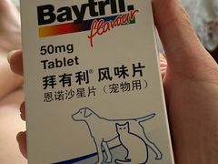 -达爱动物医院·犬猫分区·CT·复杂眼科(远洋山水分院)