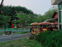 -东莞植物园
