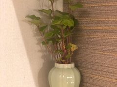 -十二舍·湯物素煮(江泰潤政店)