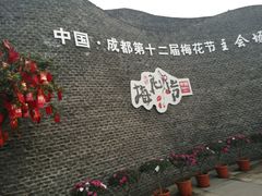 -秀丽东方