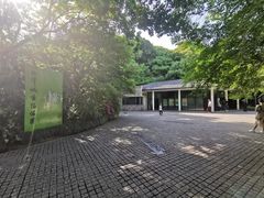 -西湖风景区-江洋畈生态公园
