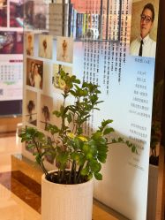 -showcase·形象沙龙