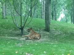 -北京野生动物园