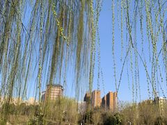 -西安汉城湖景区