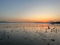 -深圳湾公园(南山区)
