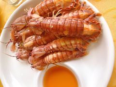 盐水虾虎-海岛渔村大酒店(云霄路店)