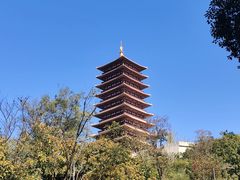 -牛首山文化旅游区