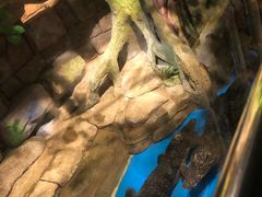 -顺德南宏海立方海洋公园