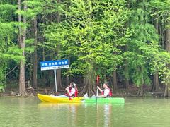 -上海海湾国家森林公园