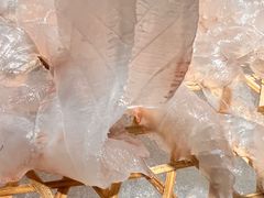 -官塘陈记鱼生·潮汕砂锅粥·牛肉火锅(潮枫路总店)