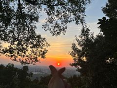 -一叶觅山(半边街店)