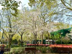 -徐家汇源景区-衡山公园