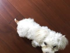 -美迦爱-牙专科·兔科·骨科诊疗中心(北苑店)
