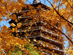 -玲珑塔公园