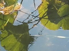 -香山公园-东宫门售票处