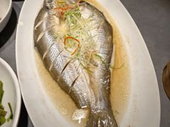 -姑苏家宴·苏帮菜·松鼠桂鱼(苏州总店)