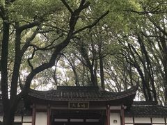 -上海佘山国家森林公园天马山园