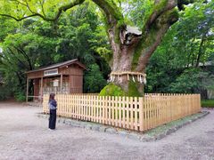 -热田神宫