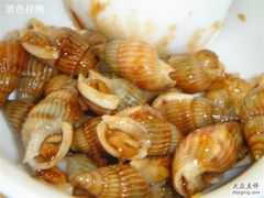 “海瓜子”-海岛渔村大酒店(云霄路店)