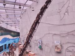 -陕西自然博物馆