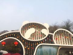 -成都大熊猫繁育研究基地