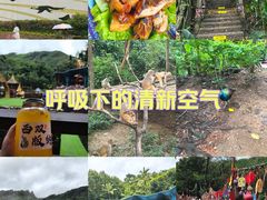 -西双版纳原始森林公园