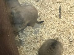-顺德南宏海立方海洋公园