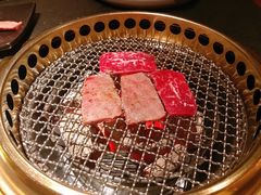 -300杯·和牛烧肉清酒专门店(廊里店)
