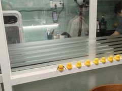 -猫宠乐园·专业洗护
