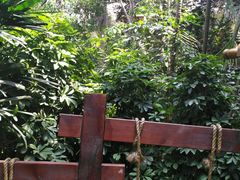 -仁爱团泊湖温泉中心