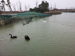 -苏州太湖国家湿地公园