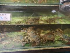 -ZF Seafood Restaurant 卓峰海鲜餐