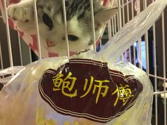-鲍师傅糕点(江苏路店)
