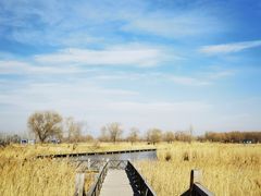 -野鸭湖国家湿地公园