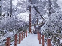 -瓦屋山景区