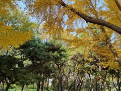 -玲珑塔公园