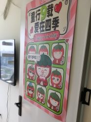 -番小茄小儿推拿(望京店)