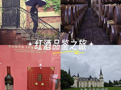 -北京张裕爱斐堡酒庄