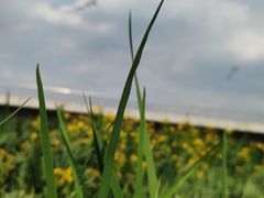 -石榴庄公园