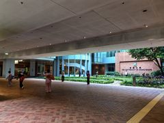 -香港大学